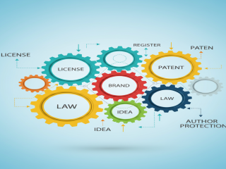 Licensing & IP Rights